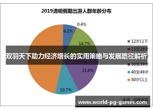 双羽天下助力经济增长的实用策略与发展路径解析