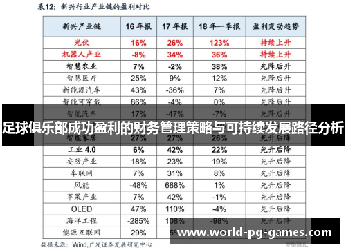 足球俱乐部成功盈利的财务管理策略与可持续发展路径分析